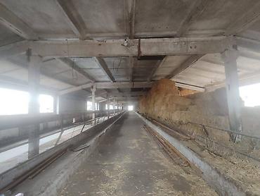 Продажа сельхоз предприятий: Ферма КРС, 800 соток, Действующий, Частично с оборудованием, Скважина, Холодная вода, Электричество — 7