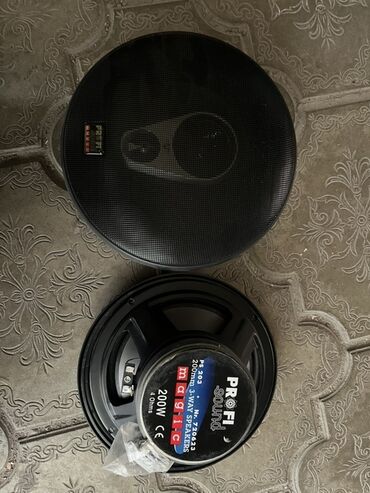 колонки настенные: Акустические динамики PROFI Sound Magic PS-203 - Формат: коаксиальная