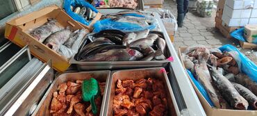 Торговые контейнеры: Дордой Фуд даяр бизнес точка сатылат! Продаётся готовый бизнес, точка at lalafo.kg — 8 Торговые контейнеры: Дордой Фуд даяр бизнес точка сатылат! Продаётся готовый бизнес, точка — 8