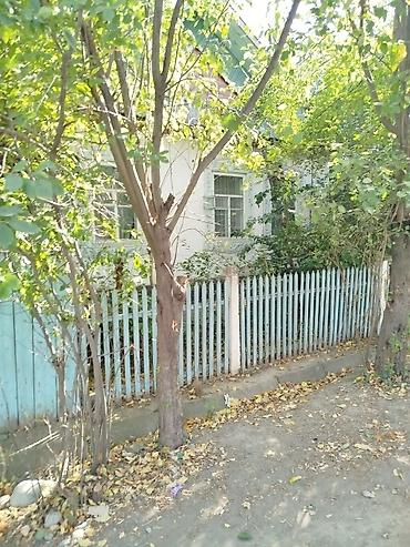 выход к реке: Жилой дом с участком в тени взрослых деревьев - Одноэтажный дом с — 1