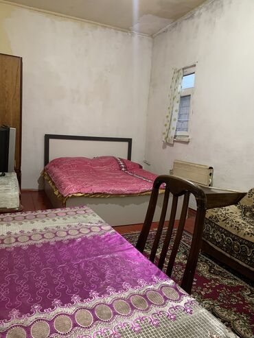 zaqatalada ayliq kiraye evler: 45 kv. m, 1 otaqlı, Qaz, İşıq, Su