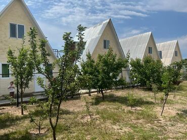 пансионаты иссык куля недорого с питанием 2022: Коттедж, ХАЛАЛ Тамчы, Унаа токтотуучу жай, унаа туруучу жай