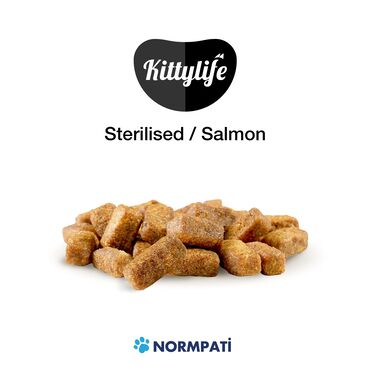 Зоотовары: 🐾 Сухой корм KITTY LIFE — вкус и здоровье в каждой миске! 🔹 Корм для — 12
