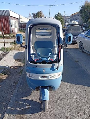 акумулятор скутера: Электрический трёхколёсный скутер с крышей и остеклением - — 1