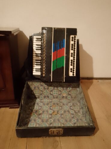 7 ci sinif informatika: Akustik Akkordeon