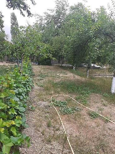 4 cü mikrorayon dairəsi: Salam. butun kamunal xidmetler var orta remont bag sahesi meyve — 9