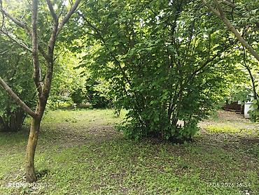 qubada torpaq sahesi satilir: 6 sot, Tikinti, Mülkiyyətçi, Kupça (Çıxarış) — 4