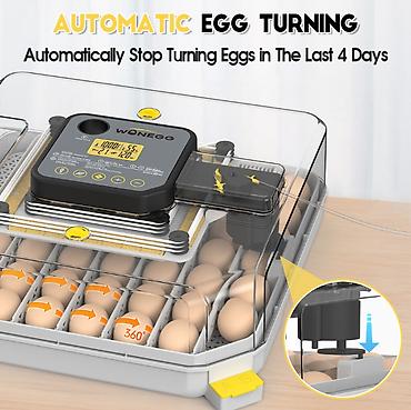 инкубаторы несушка: Инкубатор для яиц WONEGG на 48 яиц - Вместимость: до 48 — 5