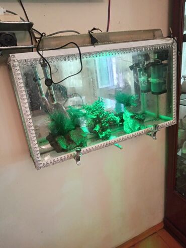 akvaryumlar: Dördbucaq akvarium, Boş, 90 l, Ünvandan götürmə