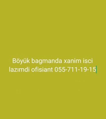 restoran vakansiya 2024: Ofisiant tələb olunur, Gündəlik ödəniş, İstənilən yaş, Təcrübəsiz