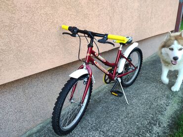 bicikle za devojcice: Decij bicikl Olimpia Midi 20" sa brzinama Decija bicikla Olimpia Midi
