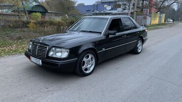 Mercedes-Benz: Mercedes-Benz W124: 1994 г., 3.2 л, Автомат, Бензин