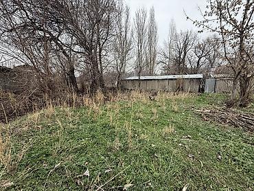 18 соток, Для бизнеса, Красная книга, Тех паспорт