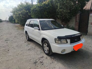 продажа форестер: Subaru Forester: 2002 г., 2 л, Автоматические, Бензин, Внедорожник