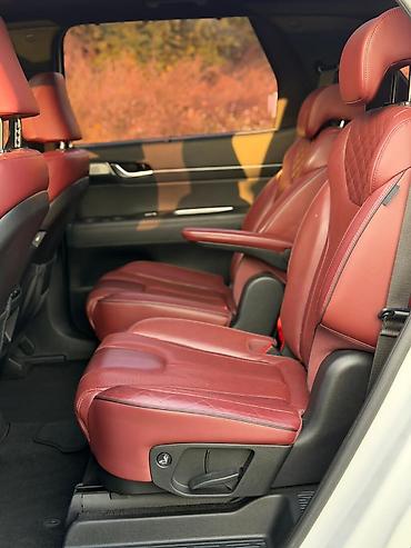 200: Hyundai Palisade: 2019 г., 2.2 л, Автомат, Дизель, Кроссовер — 10