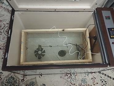 Инкубаторы: Инкубатор лор сатылат жаны колдо жасалган инкубаторлор ишенимдүү жана — 5