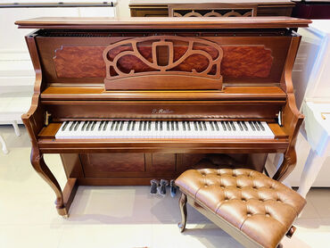 piano royal: Piano akustik. Royal musiqi alətleri salonu sizlərə geniş çeşiddə