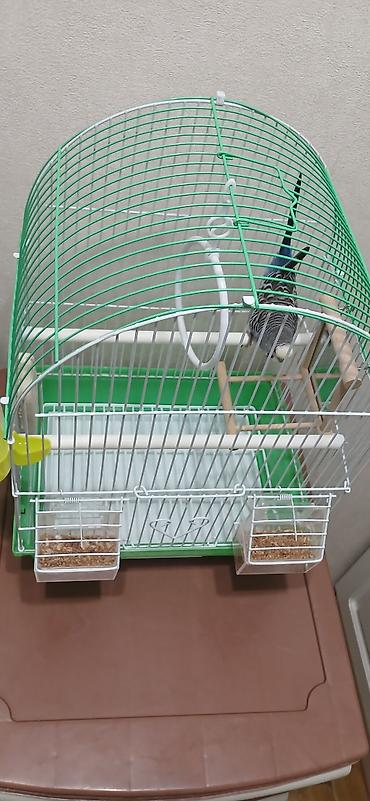 Зоотовары: Клетка для мелких и средних декоративных птиц (волнистые попугаи — 8