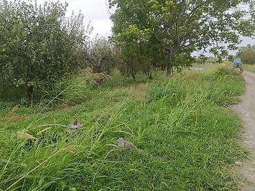 xaçmaz motoblok satışı: Kənd təsərrüfatı — 5