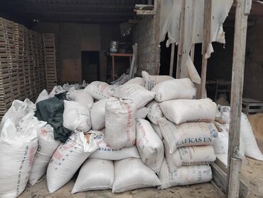 ремонт замков дверей: Apilka heyvan alti ucun.ela veziyyyetde