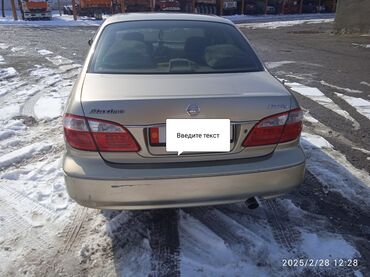 б у авто: Nissan Maxima: 2003 г., 3 л, Автомат, Бензин, Седан