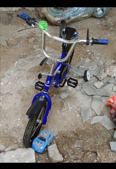 Uşaq velosipedləri: Yeni Dörd təkərli Uşaq velosipedi Trek, 29", Ünvandan götürmə