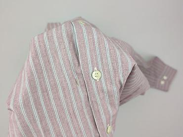 mango tshirt: Pierre Cardin, Koszulа dla mężczyzn, rozmiar L — 5