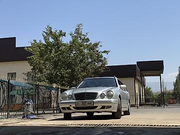Mercedes-Benz: Mercedes-Benz E-Class: 2001 г., Автомат, Дизель, Универсал — 1