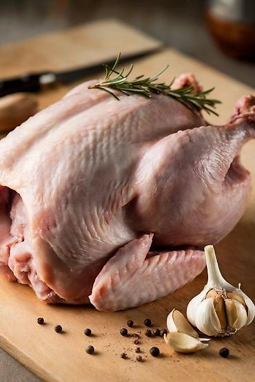 Куриные яйца: 🐔 СВЕЖИЙ БИО-ЦЫПЛЁНОК-БРОЙЛЕР — 350 сом/кг Цыплята выращены в — 2