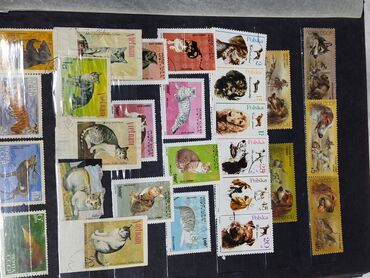 Марки: Альбом с марками. Реальному покупателю будет уступка — 14