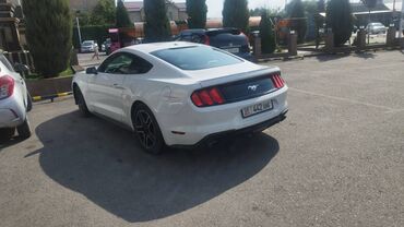 купит автомобиля: Ford Mustang: 2018 г., 2.3 л, Автомат, Бензин, Купе