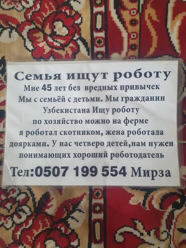 Ищу работу по хозяйству