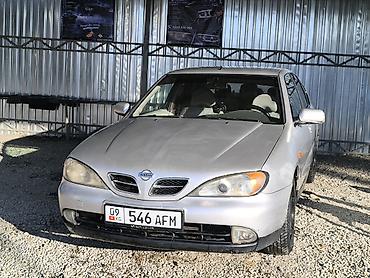 maxxis 980: Nissan Primera: 2001 г., 1.8 л, Механика, Бензин, Седан — 1