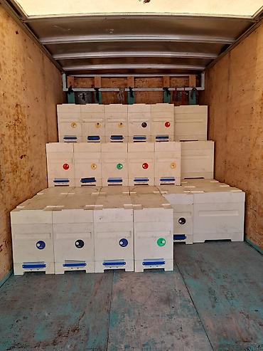 ППУ - пенополиуретан: Полиуретановые ульи для пчеловодства - Материал: литой ППУ — 5