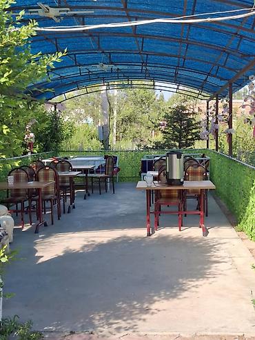 50 соток, Курулуш, Кызыл китеп, Сатып алуу-сатуу келишими — 2