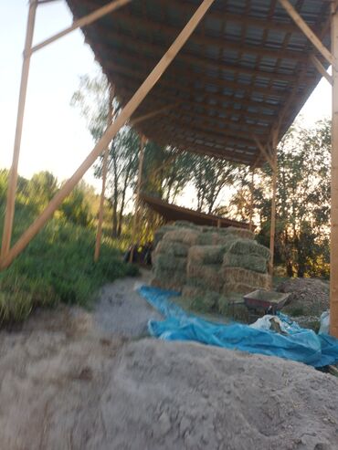 Продажа домов: Дом, 169 м², 6 комнат, Собственник, Старый ремонт — 2