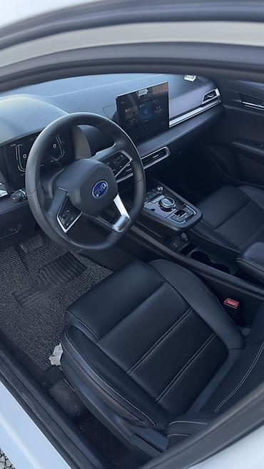е2 электромобиль: BYD E2: 2022 г., Электромобиль, Хэтчбэк — 8
