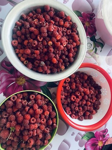 кухонные столы и стулья фото цены бишкек: Малина В розницу, Самовывоз, Платная доставка