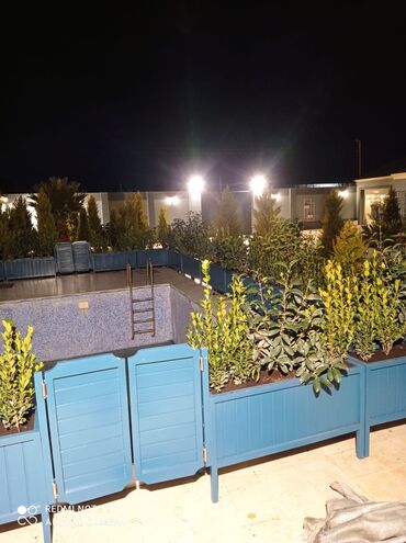 Bitkilər üçün dibçəklər: Dibçək güldanlar. Dipçəklər bir başa sexdən.Sex qiymətinə. ♦️Endrim — 8