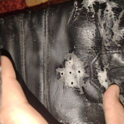 Boks aparatları: Boks ləçəkləri everlast orijinaldir satılır heç bir ciriqi sokuyu — 9