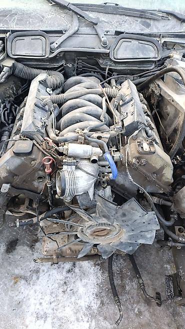 Другие детали системы освещения: Разбор Audi A6 C5 (1997–2004) — запчаст В наличии на фото: - Задние — 6