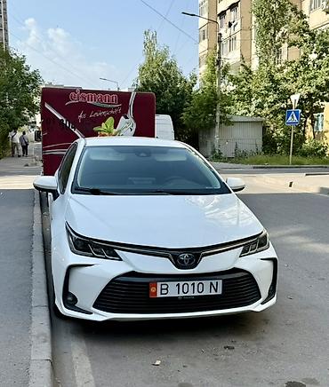 морда: Toyota Corolla: 2020 г., Седан — 1