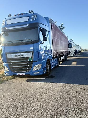 ролер: Тягач, DAF, 2020 г., Без прицепа — 4