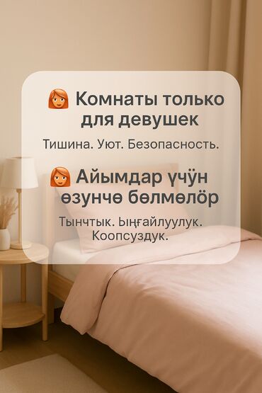 хостел койка: 300 м², С мебелью