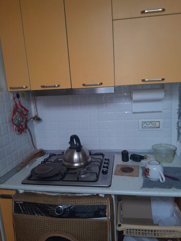 Çöl bitkiləri: Zabrat 2 stansiyasına yaxındir. sənəd kupça avtobus dayanacağına — 10