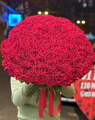 🔴 101 burulma Qızılgul - 270₼
🌐 Ün. Əcəmi m yaxınlığı lalafo.az -da 🔴 101 burulma Qızılgul - 270₼
🌐 Ün. Əcəmi m yaxınlığı