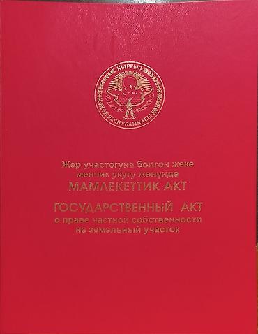 нарынский: 30 соток, Для бизнеса, Красная книга — 1