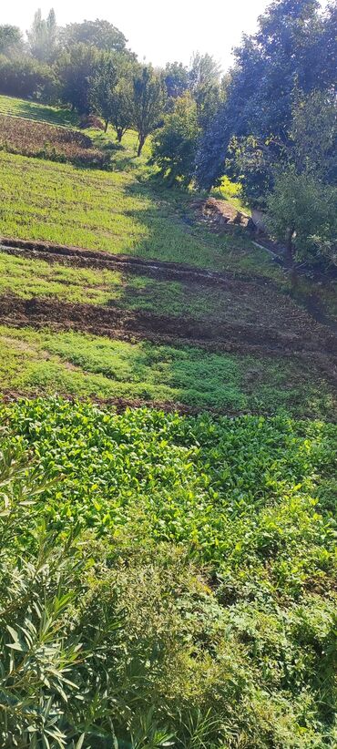 mərdəkanda torpaq: 250 sot Biznes üçün, Su