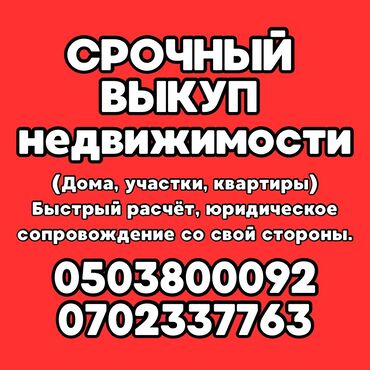 Иссык-Куль 2025: Номер