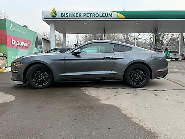 Ford: Ford Mustang: 2022 г., 2.3 л, Автомат, Бензин, Купе — 5
